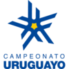 Uruguay Primera Division Play-offs