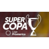 Costa Rican Super Cup winner