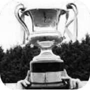 Northern Ireland Intermediate Cup