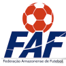 Brazilian Campeonato Amazonense2 