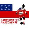 Brazilian Campeonato Amazonense de Futebol