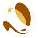 Chilean Super Cup Winner