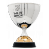 Icelandic league cup winner
