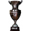 WE League Cup winner