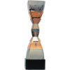 Croatian champion