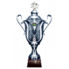 BeNe Women's Super Cup winner