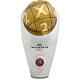 Intertoto-Cup Winner