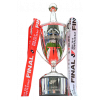 Japanese league cup winner