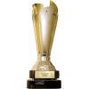 Slovenian cup winner