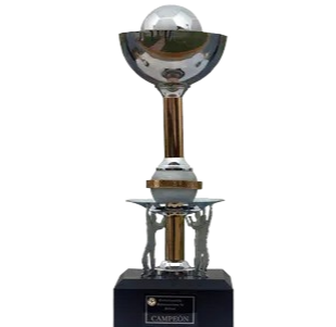 South American Champion U17