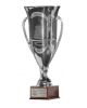 Italian cup winner (Serie C)