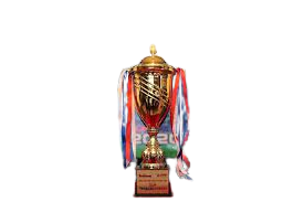 Vietnamese Cup Winner