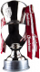 Czechoslovak champion
