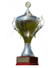 Saxony-Anhalt Cup winner