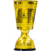 Lao Cup Winner