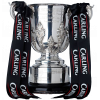 English League Cup winner