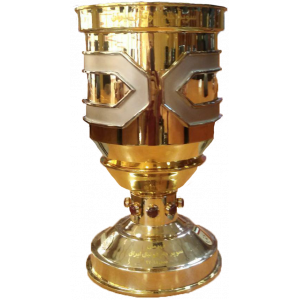 Iranian Supercup-Champion