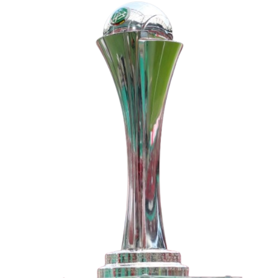 DFB Pokal Women winner