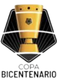 Winner Copa Bicentenario
