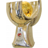 AFC U16 Women's Championship winner