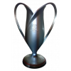 Polish cup winner
