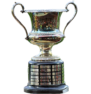 Icelandic champion