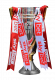 English 2nd tier champion