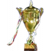 Kuwait Federation Cup Winner