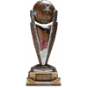 Indonesian League Cup Winner