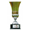 League Cup Winner Hong Kong