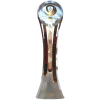 Portuguese league cup winner