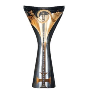 Portuguese Super Cup winner