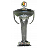 AFC Cup Winner