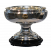 Japanese cup winner