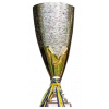 Bosnian-Herzegovinian cup winner