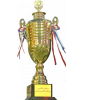 Palestinian Cup Winner