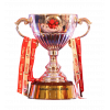 Indian Super League Champion