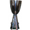 A Lyga Women winner