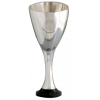 Danish Cup Winner