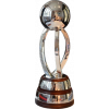 OFC Nations Cup winner