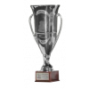 Women's Cup winner
