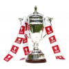 English FA Youth Cup winner