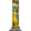Indian Development League Champion