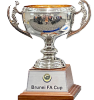 Brunei Cup Winner