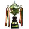 Moldovan supercup winner