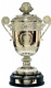 Omanian Supercup Winner