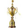 Mongolian Champion