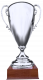 Westphalia Cup winner