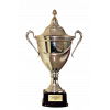 Portuguese Third Division Champion