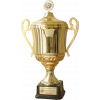 Bulgarian champion